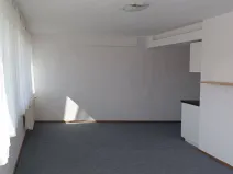 Pronájem bytu 1+kk, Hradec Králové - Slezské Předměstí, Slezská, 30 m2