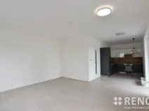 Pronájem bytu 1+kk, Brno, Reissigova, 42 m2