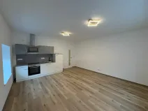 Pronájem bytu 1+kk, Doloplazy, 39 m2