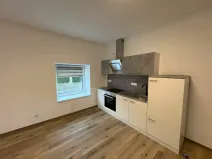 Pronájem bytu 1+kk, Doloplazy, 46 m2