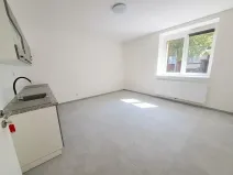 Pronájem bytu 1+1, Plzeň, Mánesova, 45 m2