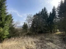 Prodej pozemku, Městečko Trnávka - Lázy, 384 m2