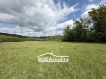 Prodej pole, Bojkovice, Luhačovická, 15000 m2
