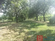 Prodej pozemku pro bydlení, Hnanice, 3609 m2