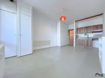 Prodej bytu 1+kk, Ostrava, Francouzská, 30 m2