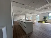 Pronájem kanceláře, Brno, Veveří, 200 m2