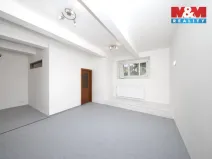 Prodej bytu 2+1, Praha - Bubeneč, U zeměpisného ústavu, 57 m2