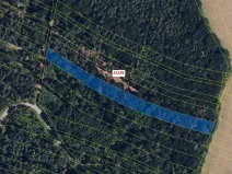 Dražba lesa, Olbramice, 4139 m2