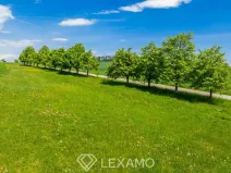Prodej pozemku pro bydlení, Horní Újezd, 785 m2