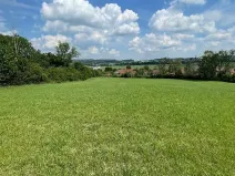Prodej louky, Luže, 11020 m2