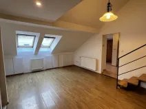 Pronájem bytu 1+kk, Praha - Žižkov, Vlkova, 41 m2