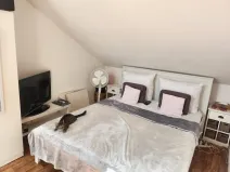 Pronájem bytu 2+kk, Brno - Husovice, Dačického, 41 m2