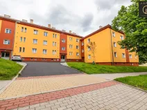 Prodej bytu 3+1, Ostrov, Borecká, 72 m2