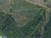 Prodej lesa, Tehov - Nemíž, 3892 m2