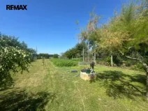 Prodej zahrady, Hulín, 1502 m2