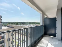 Pronájem bytu 1+kk, Praha - Hloubětín, Domalípova, 32 m2