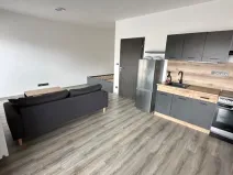 Pronájem bytu 1+kk, Plzeň, Pilařská, 31 m2