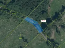Dražba lesa, Kladruby, 287 m2