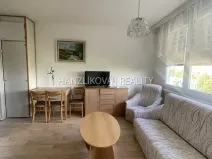 Pronájem bytu 1+1, České Budějovice - České Budějovice 2, J. Opletala, 35 m2