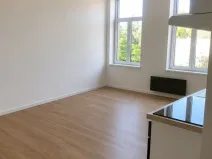 Pronájem bytu 1+kk, Ostrava - Přívoz, Křišťanova, 43 m2