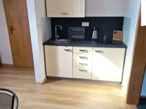 Pronájem bytu 1+kk, Břehov, 32 m2