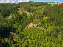 Prodej lesa, Jablonec nad Jizerou - Dolní Tříč, 18052 m2