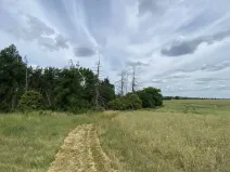 Prodej lesa, Slavičky - Pozďátky, 560 m2
