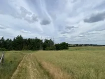 Prodej lesa, Slavičky - Pozďátky, 560 m2