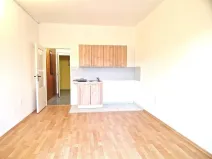 Pronájem bytu 1+kk, Olešná, 21 m2