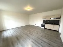 Pronájem bytu 2+kk, Plzeň - Malesice, Malesická náves, 56 m2