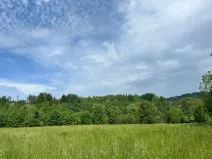 Prodej pole, Oselce, 8654 m2