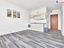 Prodej bytu 1+1, Horní Slavkov, Dlouhá, 38 m2