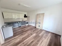 Pronájem bytu 2+kk, Ústí nad Labem, okres ústí nad labem, Resslova, 48 m2