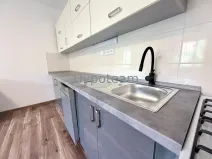 Pronájem bytu 2+kk, Ústí nad Labem, okres ústí nad labem, Resslova, 52 m2