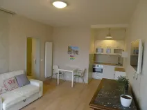 Pronájem bytu 1+kk, Praha - Dejvice, Wuchterlova, 36 m2