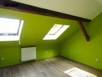 Prodej vícegeneračního domu, Luby - Horní Luby, 250 m2