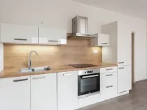 Prodej bytu 1+kk, Praha - Kyje, Federova, 53 m2