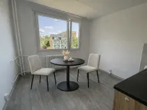 Pronájem bytu 1+1, Litvínov, U Bílého sloupu, 40 m2