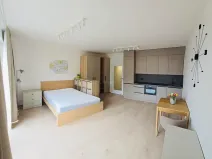 Pronájem bytu 1+kk, Praha - Vysočany, Gerstelova, 36 m2