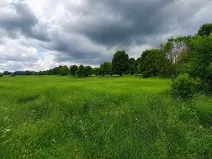Prodej pozemku, Volary, Soumarská, 8002 m2