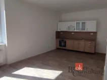 Pronájem bytu 2+kk, Ostrava - Moravská Ostrava, Mlýnská, 63 m2