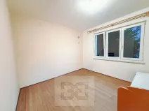 Pronájem bytu 2+1, Ostrov, S. K. Neumanna, 56 m2