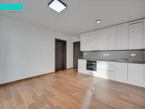 Pronájem bytu 2+kk, Olomouc - Nová Ulice, Třída Jiřího Pelikána, 57 m2