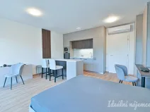 Pronájem bytu 1+kk, Brno, Hybešova, 39 m2