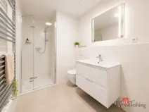 Pronájem bytu 1+kk, Plzeň - Jižní Předměstí, Železná, 35 m2