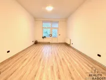 Pronájem bytu 1+kk, Olomouc - Hodolany, Březinova, 45 m2