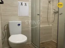 Pronájem bytu 1+kk, Ostrava, Krakovská, 20 m2