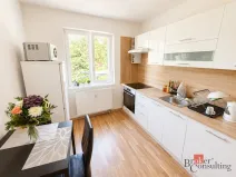 Pronájem bytu 2+kk, Ostrava - Mariánské Hory, Cottonové, 37 m2