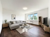 Prodej bytu 1+1, Tisá, 30 m2