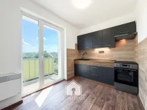 Prodej bytu 1+1, Tisá, 30 m2